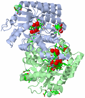 Image Biol. Unit 1 - sites