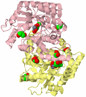 Image Biological Unit 2