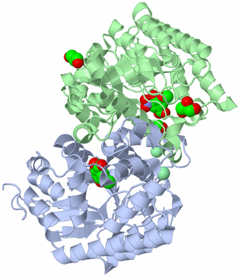 Image Asym./Biol. Unit