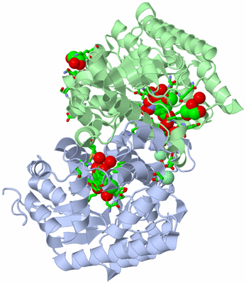 Image Asym./Biol. Unit - sites