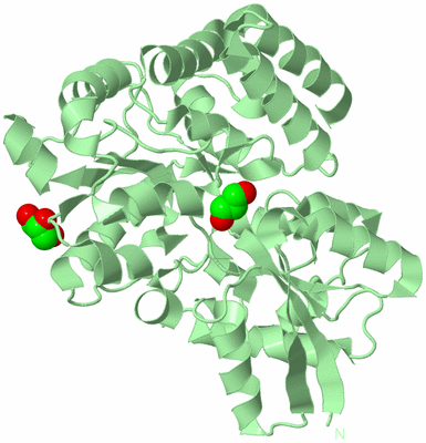 Image Biological Unit 2