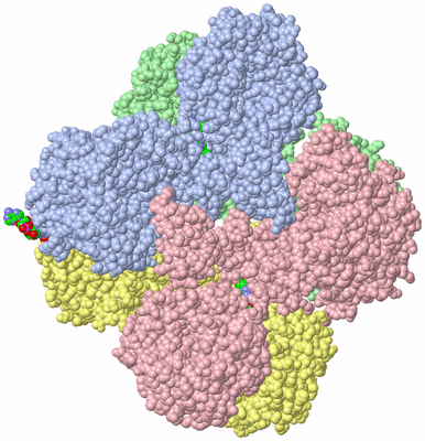 Image Asym./Biol. Unit - sites