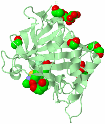 Image Biological Unit 1