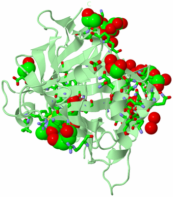 Image Biol. Unit 1 - sites