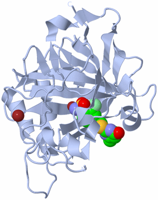 Image Biological Unit 2