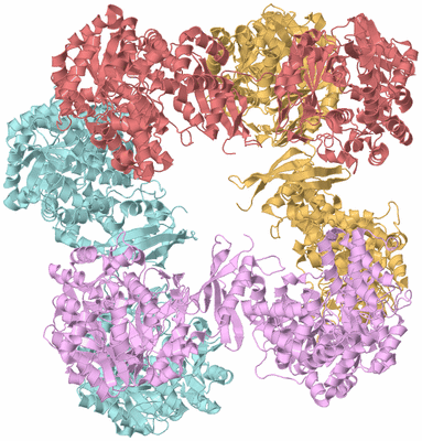 Image Biological Unit 1