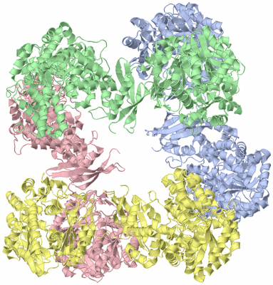 Image Biological Unit 2