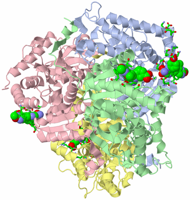 Image Biol. Unit 1 - sites