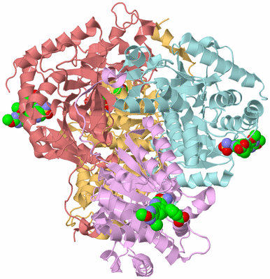 Image Biological Unit 2