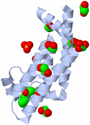 Image Biological Unit 1