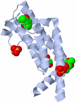 Image Biological Unit 1