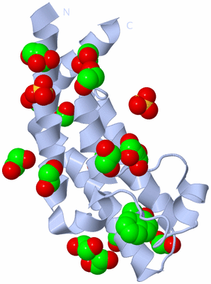 Image Biological Unit 1