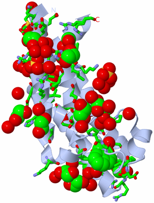 Image Biol. Unit 1 - sites