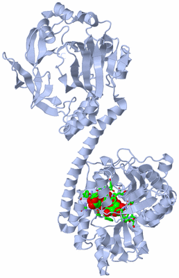 Image Biol. Unit 1 - sites