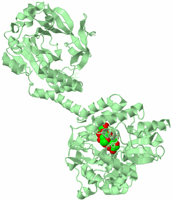 Image Biological Unit 2