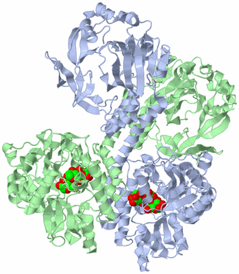 Image Biological Unit 3