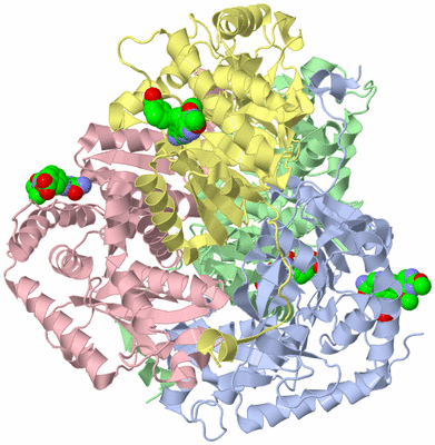 Image Biological Unit 1