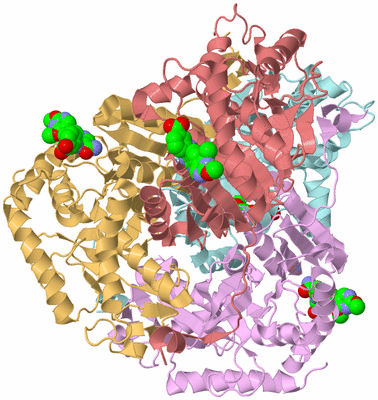 Image Biological Unit 2