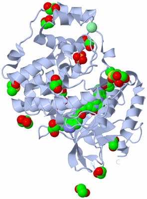 Image Biological Unit 1