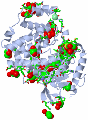 Image Biol. Unit 1 - sites