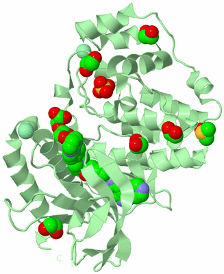 Image Biological Unit 2