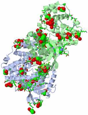 Image Asym. Unit - sites