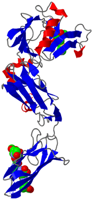 Image Asymmetric Unit