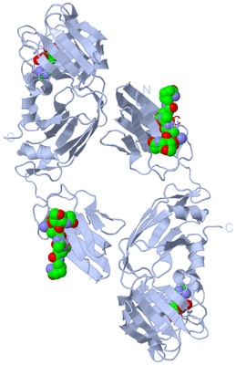 Image Biological Unit 2