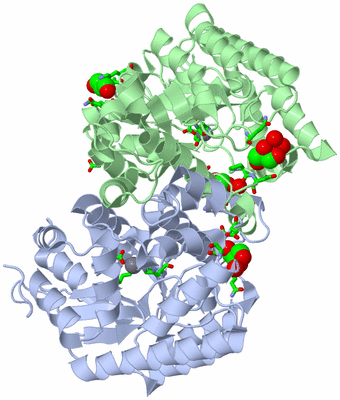 Image Asym./Biol. Unit - sites