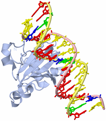 Image Biological Unit 1