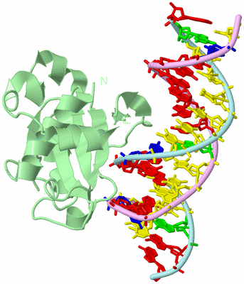 Image Biological Unit 2