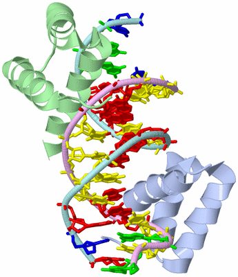 Image Biological Unit 1