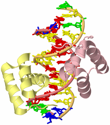 Image Biological Unit 2