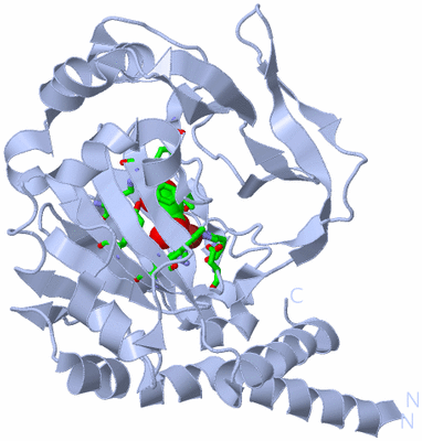 Image Biol. Unit 1 - sites