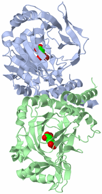 Image Biological Unit 3