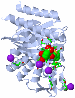 Image Biol. Unit 1 - sites