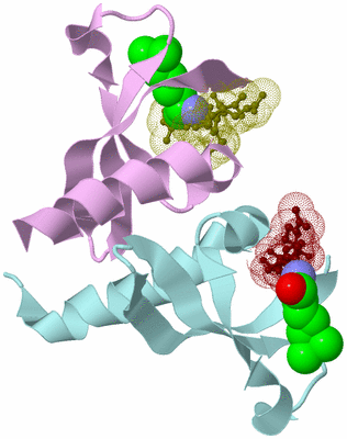 Image Biological Unit 3