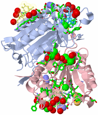 Image Asym./Biol. Unit - sites