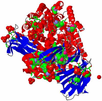 Image Asym./Biol. Unit - sites