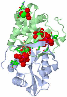 Image Biol. Unit 1 - sites