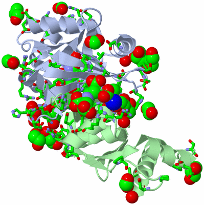 Image Asym./Biol. Unit - sites