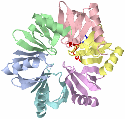 Image Asym./Biol. Unit