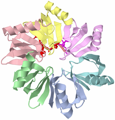 Image Asym./Biol. Unit