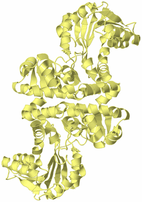 Image Biological Unit 3