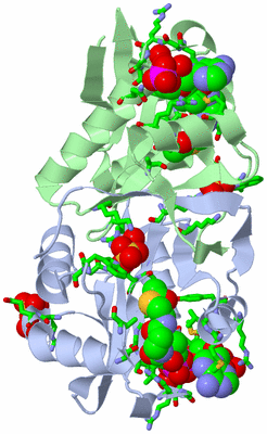 Image Biol. Unit 1 - sites