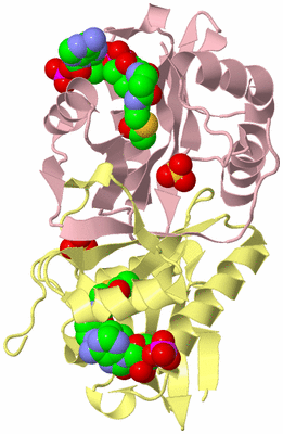 Image Biological Unit 2