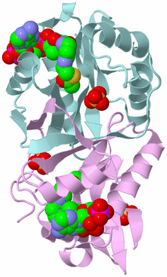 Image Biological Unit 3