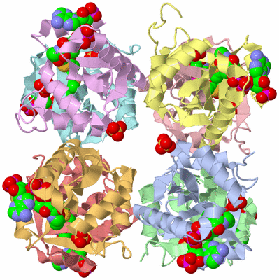 Image Biological Unit 5