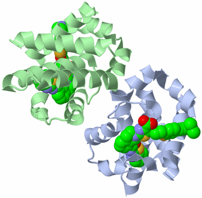 Image Biological Unit 1