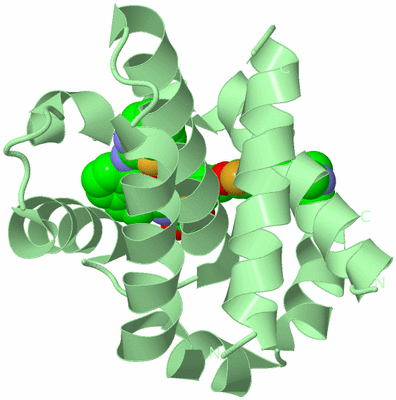 Image Biological Unit 3